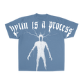 Hylin is a process BLUE PHASE